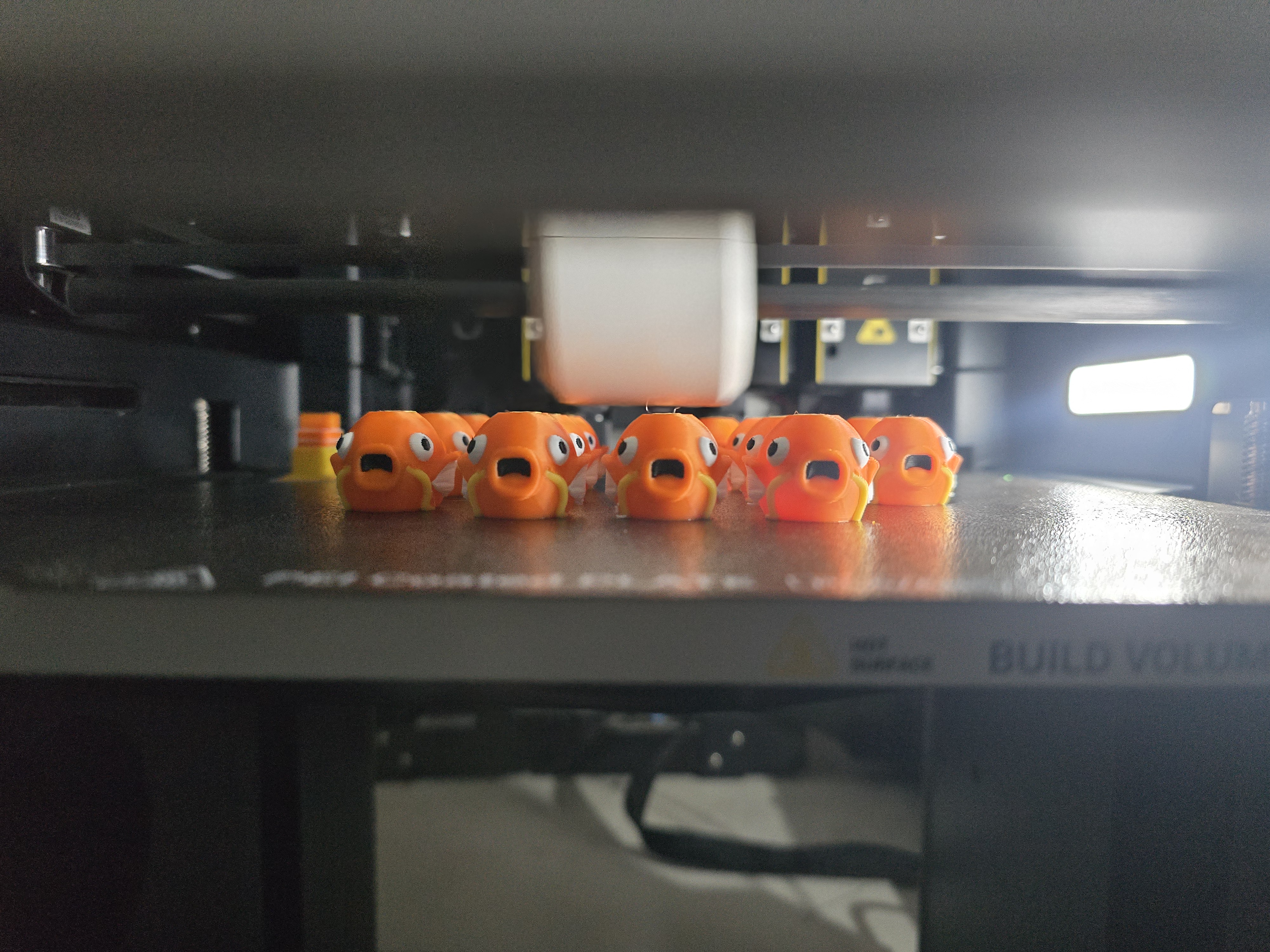 Frische Mini-Karpador direkt auf dem Druckbett